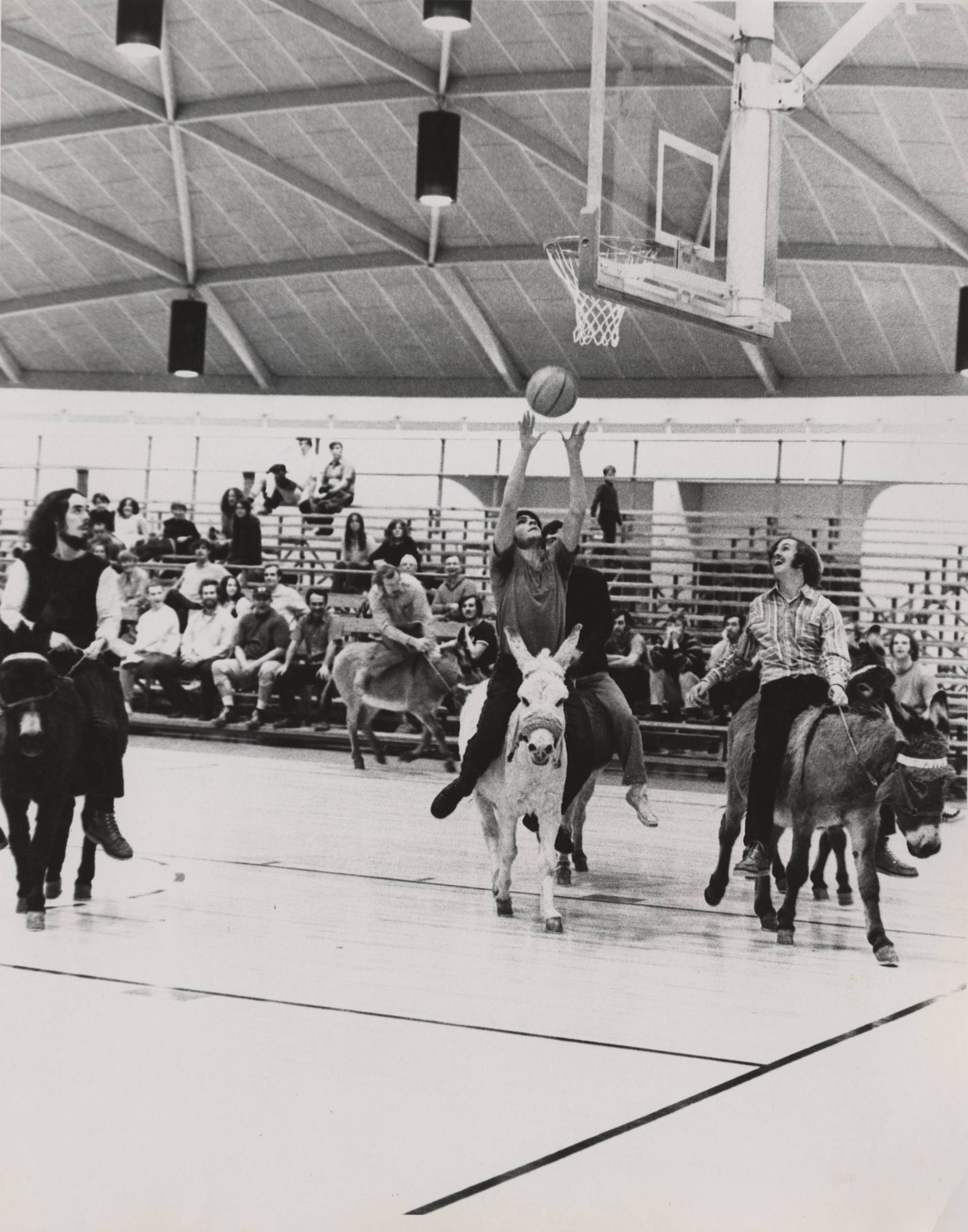 Donkey Basketball